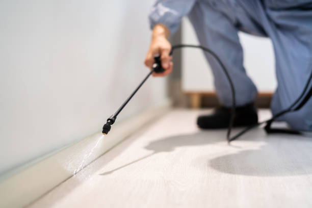Licensed Rodent Control service in Sequatchie County County, TN - Nex Pest Control